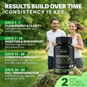 moringa-capsules-pure-moringa-leaf-powde-4.jpg