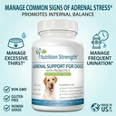 adrenal-support-for-dogs-support-for-dog-2.jpg