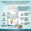 adrenal-support-for-dogs-support-for-dog-6.jpg