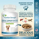 adrenal-support-for-dogs-support-for-dog-5.jpg
