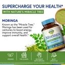 terranics-moringa-capsules-pure-moringa--5.jpg