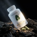 moringa-oleifera-capsules-800mg-pure-lea-4.jpg