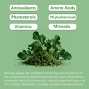 moringa-capsules-moringa-powder-organic--2.jpg