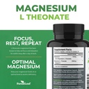 forest-leaf-magnesium-l-threonate-magtei-3.jpg