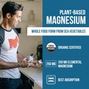 organic-whole-food-magnesium-supplement--2.jpg