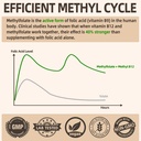 l-methylfolate-15mg-plus-methyl-b12-meth-2.jpg