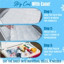 shipping-cold-packs-dry-ice-for-shipping-6.jpg