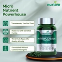 nannochloropsis-phytoplankton-tablets-25-4.jpg
