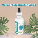 vegan-life-nutrition-marine-phytoplankto-4.jpg