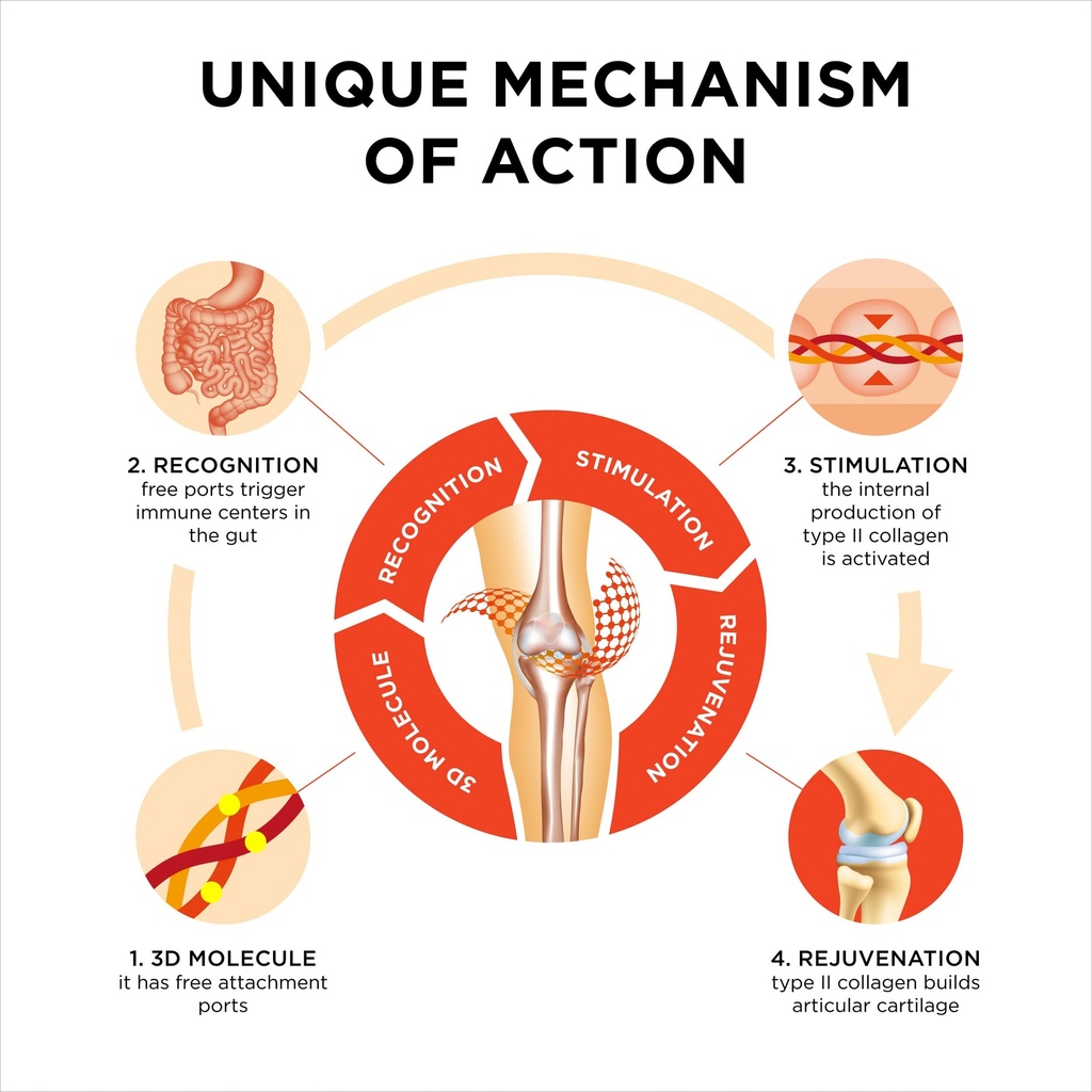 innovation-in-the-care-of-healthy-joints-6.jpg