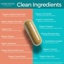 colon-cleanse-renew-14-day-colon-cleanse-4.jpg
