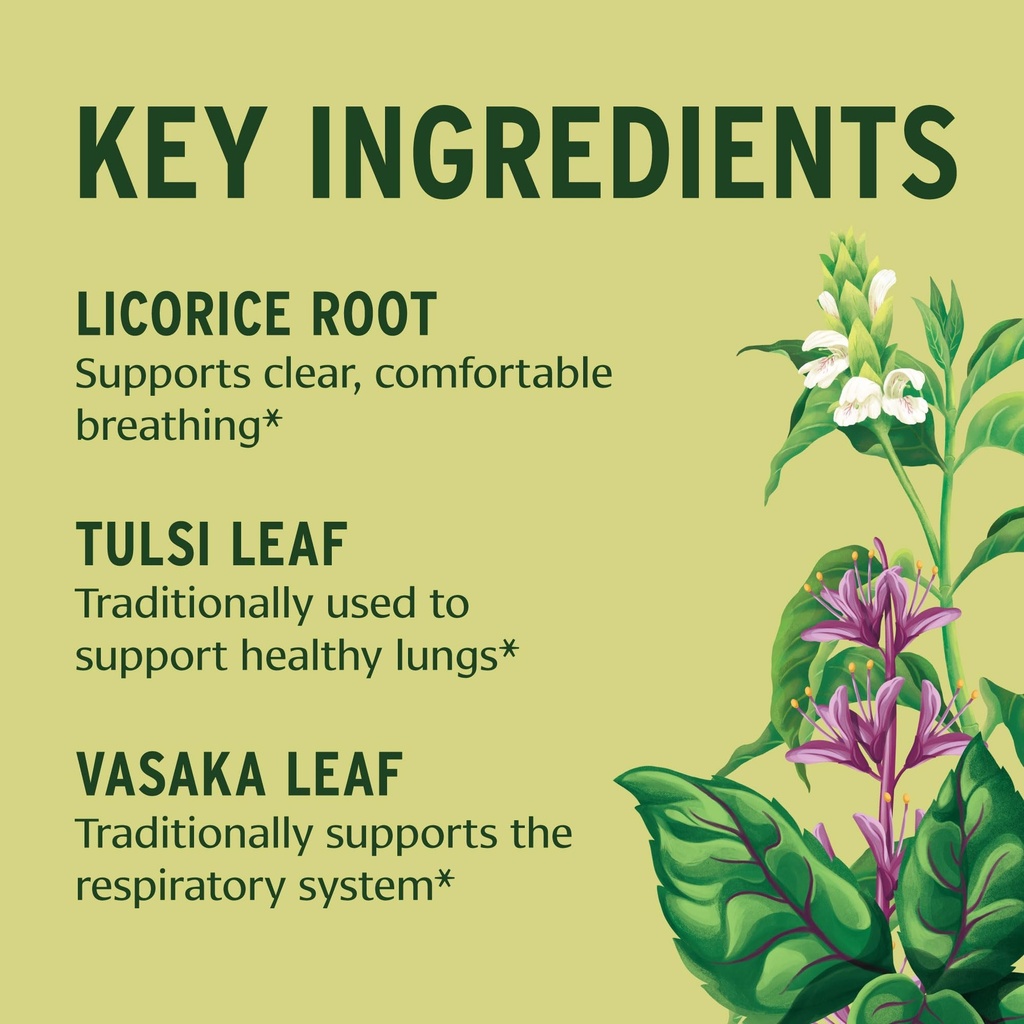 banyan-botanicals-lung-formula-organic-r-3.jpg