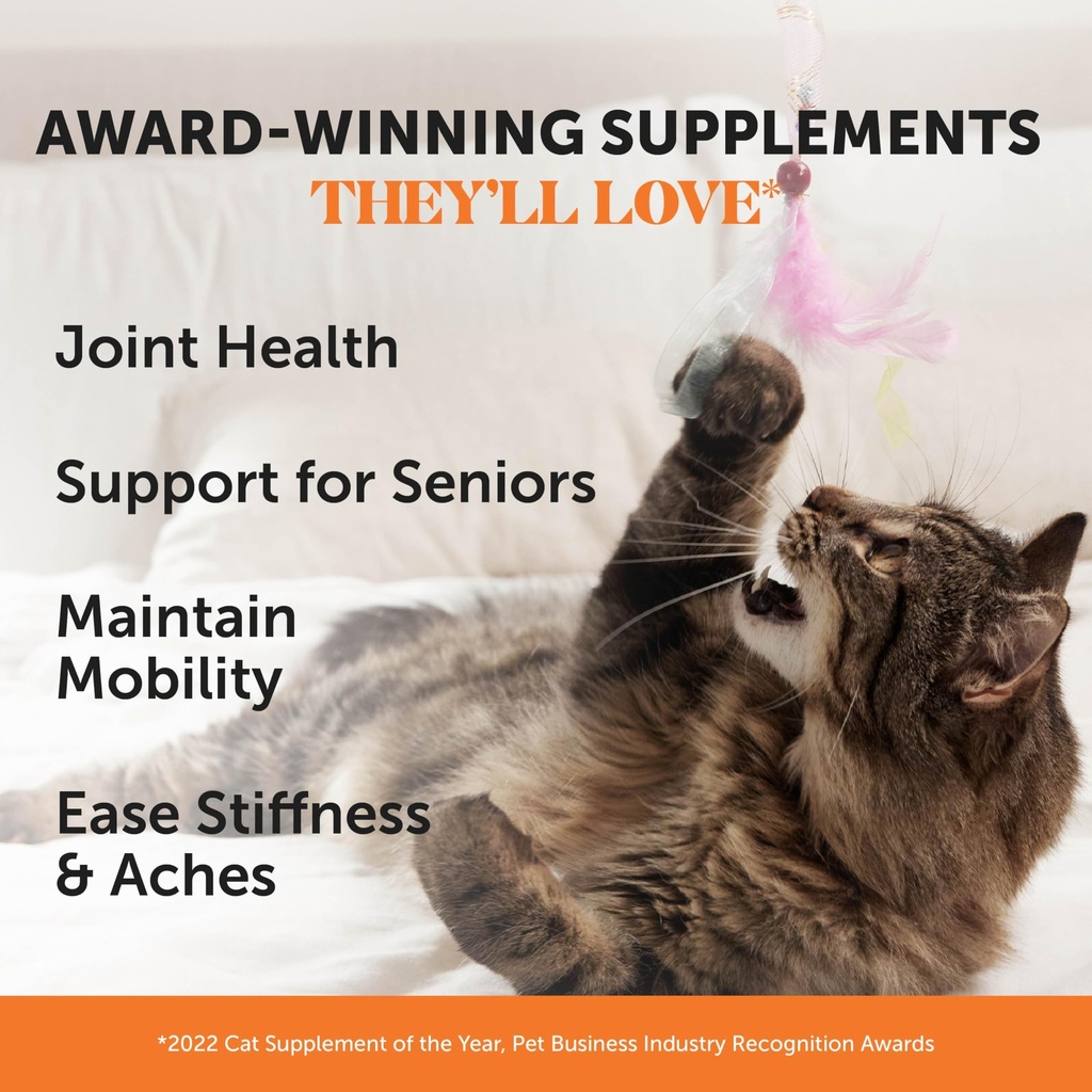 cat-multivitamin-cat-hip-joint-daily-ess-2.jpg