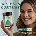 sea-moss-gummies-16-in-1-with-black-seed-4.jpg