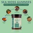 sea-moss-gummies-16-in-1-with-black-seed-2.jpg