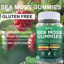 irish-sea-moss-3000mg-gummies-with-bladd-5.jpg