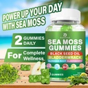 sea-moss-gummies-irish-sea-moss-with-eld-6.jpg