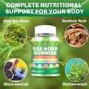 sea-moss-gummies-irish-sea-moss-with-eld-4.jpg