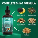 clean-nutra-organic-sea-moss-drops-suppl-4.jpg