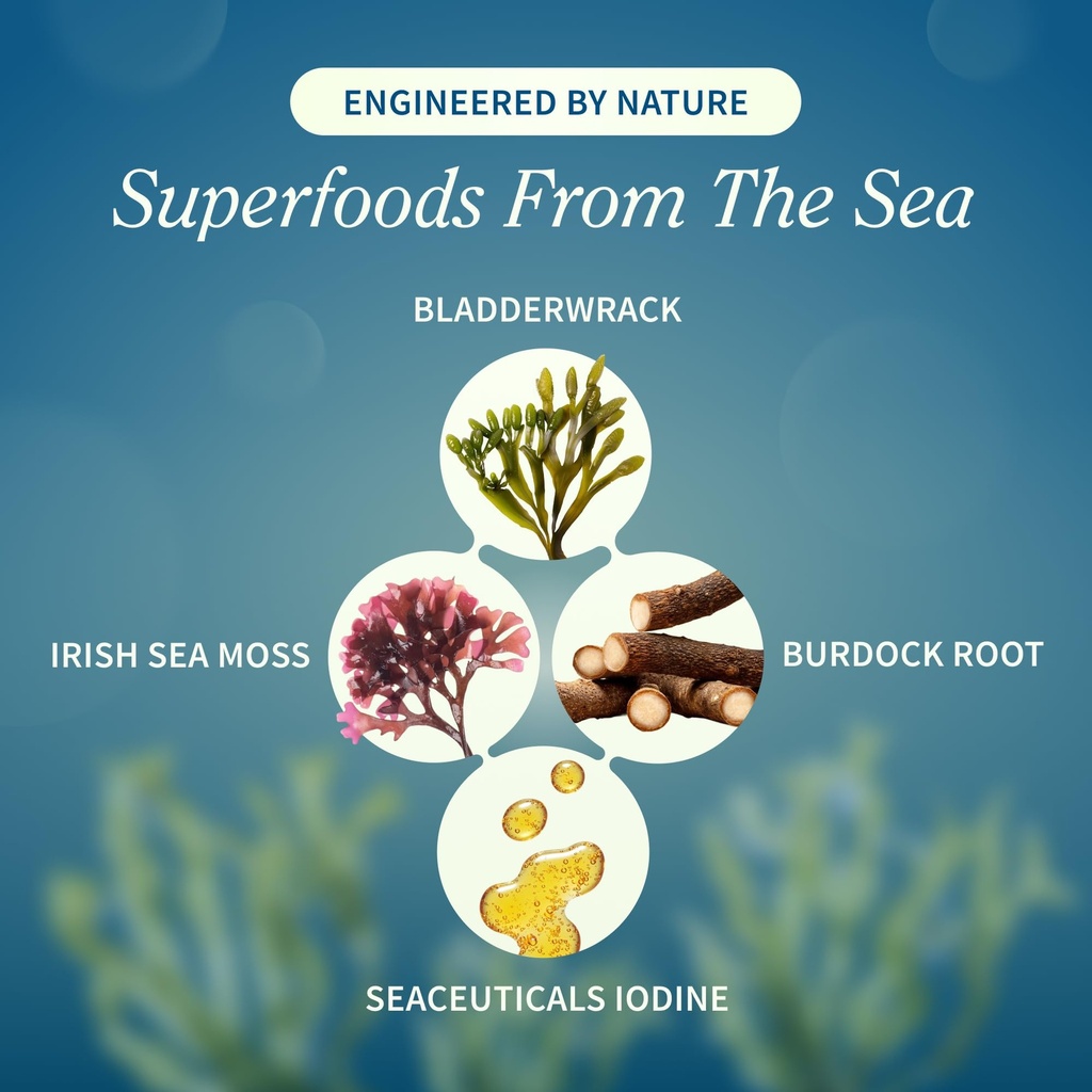 snap-supplements-irish-sea-moss-with-bla-3.jpg
