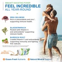 power-by-naturals-sea-moss-plus-usda-org-3.jpg