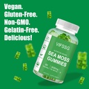 vifssg-sea-moss-gummies-3000mg-irish-sea-6.jpg