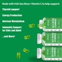 vifssg-sea-moss-gummies-3000mg-irish-sea-3.jpg