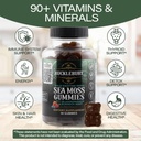 bucklebury-wild-crafted-irish-sea-moss-g-4.jpg
