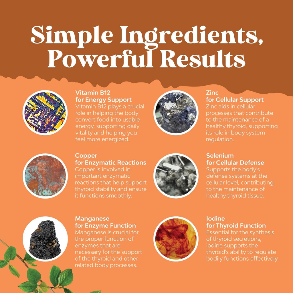 vegan-thyroid-support-gummies-with-sea-m-6.jpg
