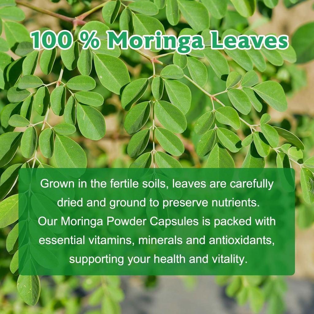 moringa-powder-capsules-pure-moringa-lea-5.jpg