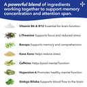 lifeseasons-focus-r-concentration-suppor-4.jpg