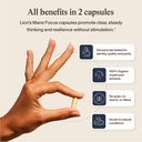 real-mushrooms-lions-mane-focus-capsules-6.jpg