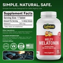 landau-0-3mg-300-mcg-melty-melatonin-for-6.jpg