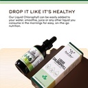 chlorophyll-liquid-drops-for-digestion-g-3.jpg