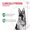 royal-canin-probiotics-for-dogs-digestiv-2.jpg