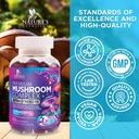 mushroom-gummies-supplement-12-in-1-high-4.jpg