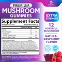 mushroom-gummies-supplement-12-in-1-high-2.jpg