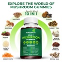 11-in-one-mushroom-complex-gummies-10x-m-3.jpg