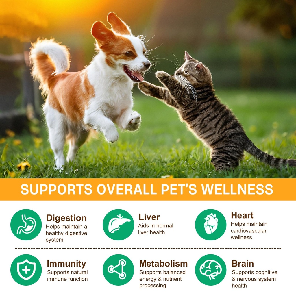 mushroom-supplement-powder-for-dogs-cats-3.jpg