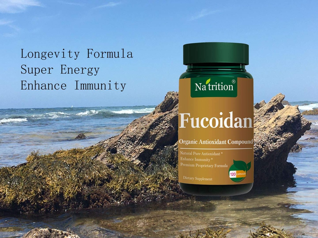 na-trition-fucoidan-natural-organic-anti-3.jpg