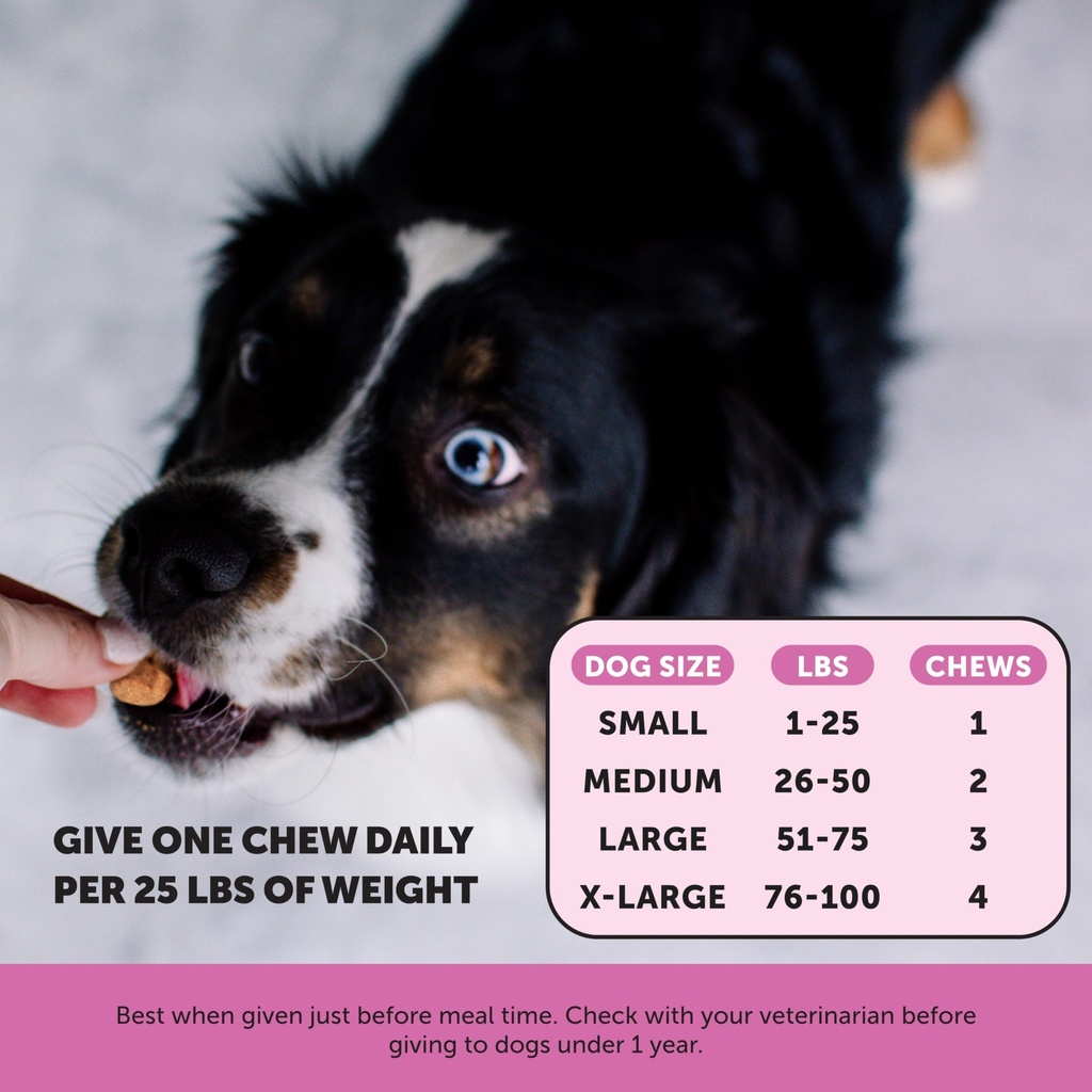 senior-dog-multivitamin-essential-dog-vi-5.jpg