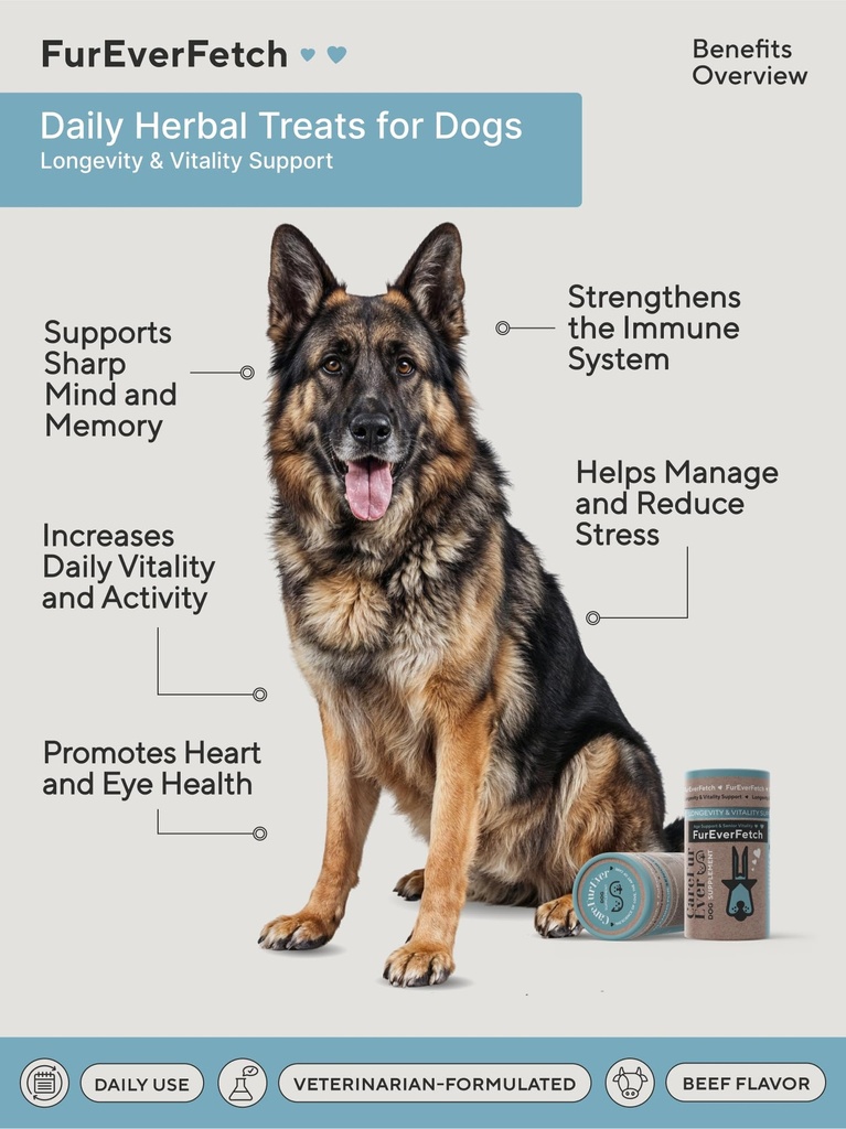 senior-dogs-brain-vision-support-slows-c-2.jpg