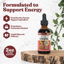 active-ginseng-korean-red-panax-ginseng--2.jpg