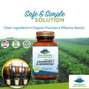pure-mountain-botanicals-cranberry-d-man-3.jpg