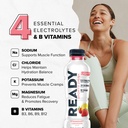 ready-sports-drink-light-the-ultimate-lo-3.jpg