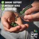 on-target-living-spirulina-chlorella-cgf-6.jpg
