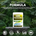 best-naturals-niacinamide-vitamin-b3-pur-6.jpg
