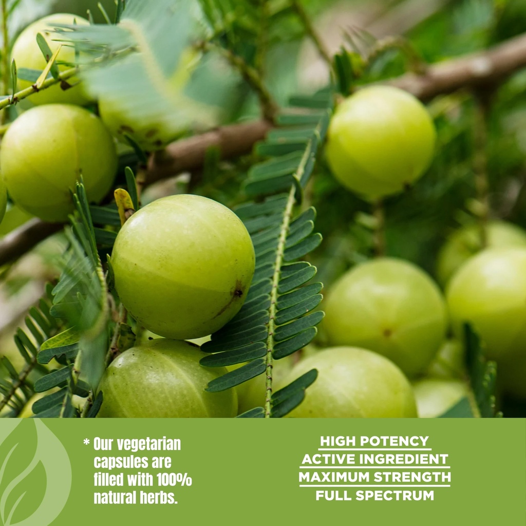 herbsforever-amla-indian-gooseberry-powd-6.jpg