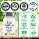 tnvitamins-black-raspberry-capsules-850m-6.jpg
