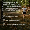 momentous-grass-fed-collagen-peptides-po-3.jpg